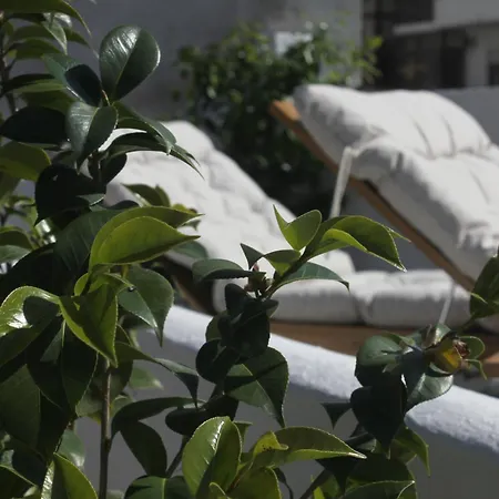 Maré - Garden, Yoga&surf
